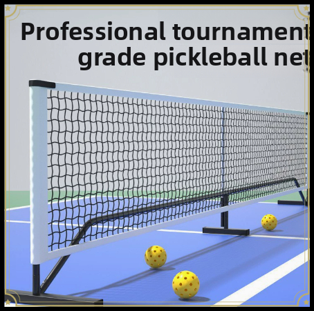 Portable Professional Pickleba - đánh giá và giá Outdoor Sports Net